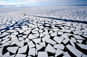 ghiaccio-batteri-cambiamenti-climatici