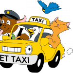 Pet-Taxi