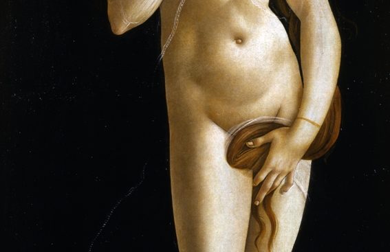 venere-1490-circa-musei-reali-torino-2.jpg