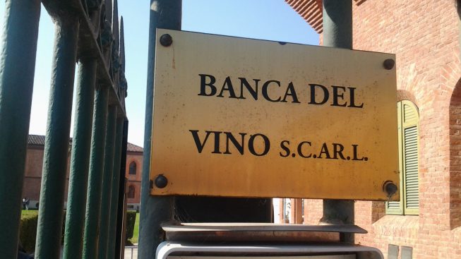 banca-del-vino-pollenzo-2-qp.jpg