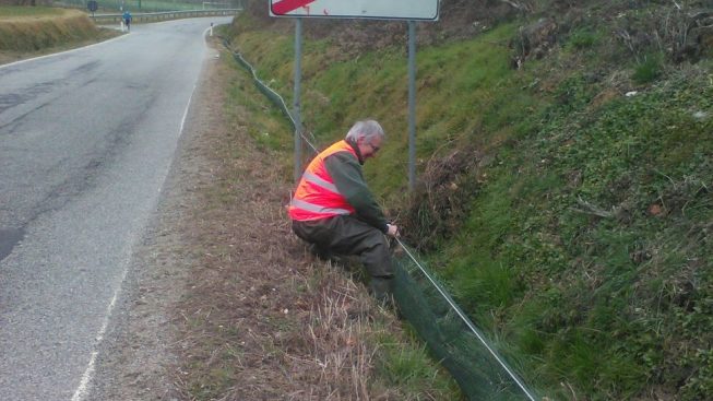 allestimento_sito_valperga_repertorio_1.jpg