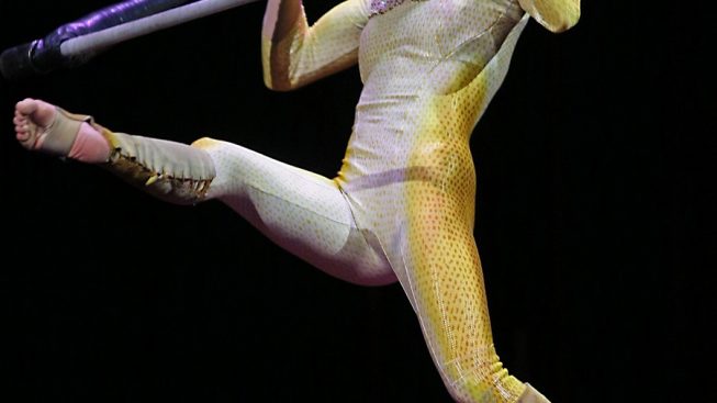 varekai92.jpg