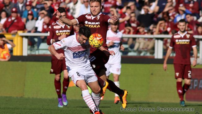 sport-calcio-serie-a-torino-carpi-3.jpg