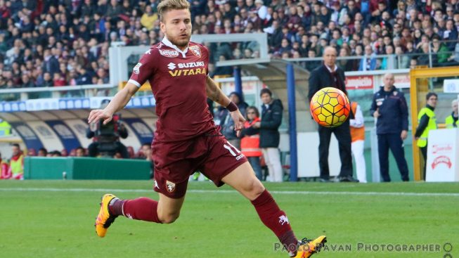 sport-calcio-serie-a-torino-carpi-14.jpg