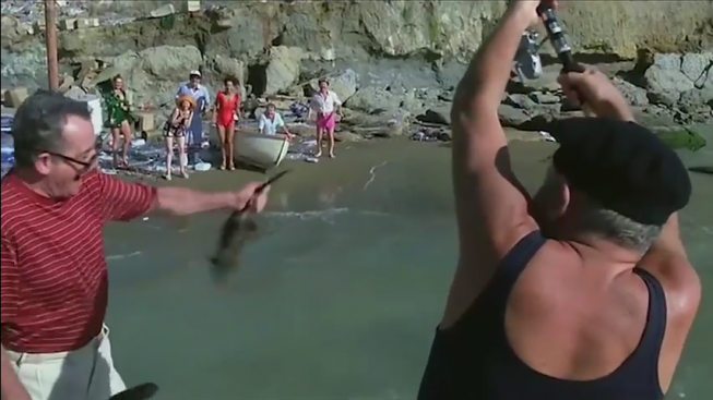 Fantozzi-Filini-pesce-ratto