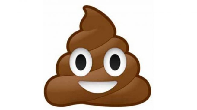 emoticon-cacca