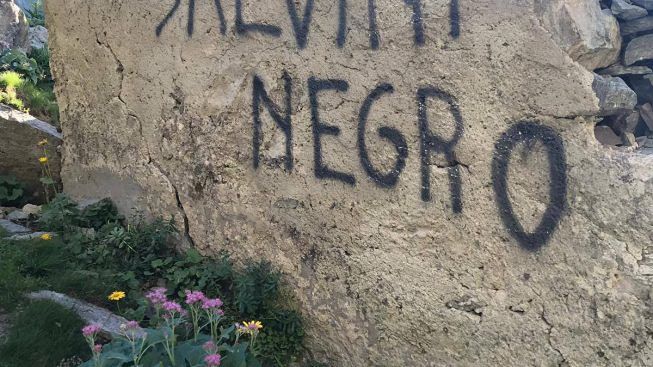 Salvini-Negro