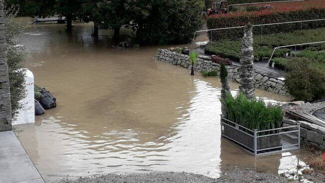 Aziende Floricole Verbania Fondotoce (2)