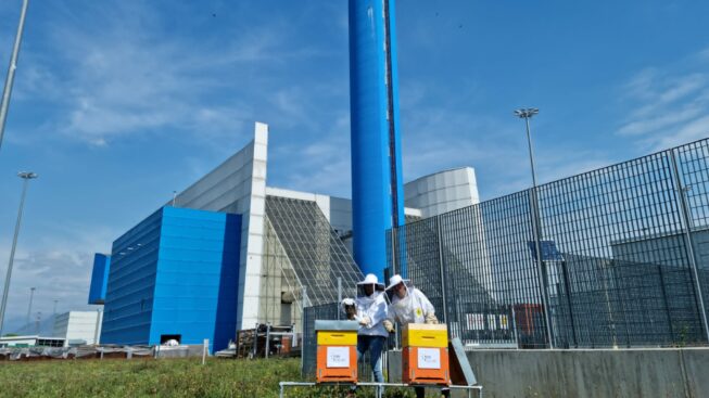 termovalorizzatore-torino-api