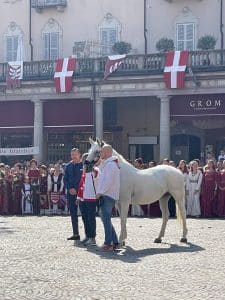 palio d'asti benedizione cavallo