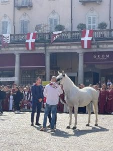 palio d'asti benedizione cavallo