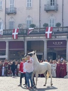 palio d'asti benedizione cavallo