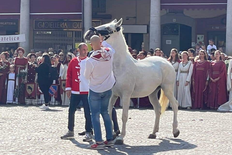 palio d'asti benedizione cavallo