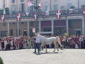 palio d'asti benedizione cavallo