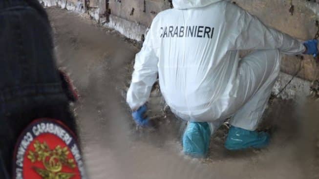 stallaanimalimortibiella Quotidiano Piemontese