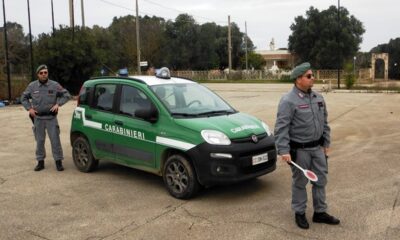 Carabinieri