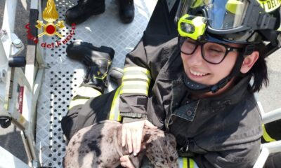Vigili del fuoco Verceli