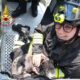 Vigili del fuoco Verceli