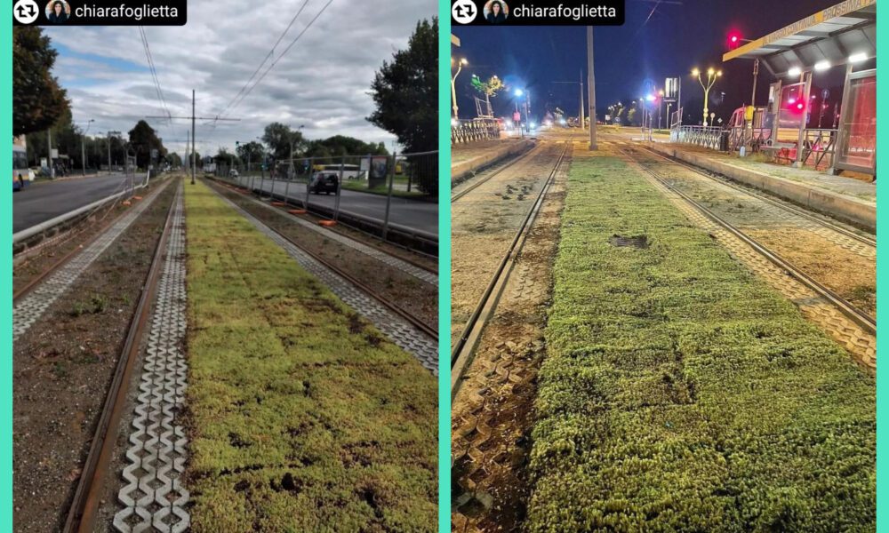 Torino, corsia tranviaria verde