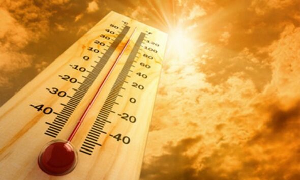https://www.quotidianopiemontese.it/wp-content/uploads/2023/08/forte-caldo-590x354.jpeg