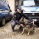 polizia-unità cinofile