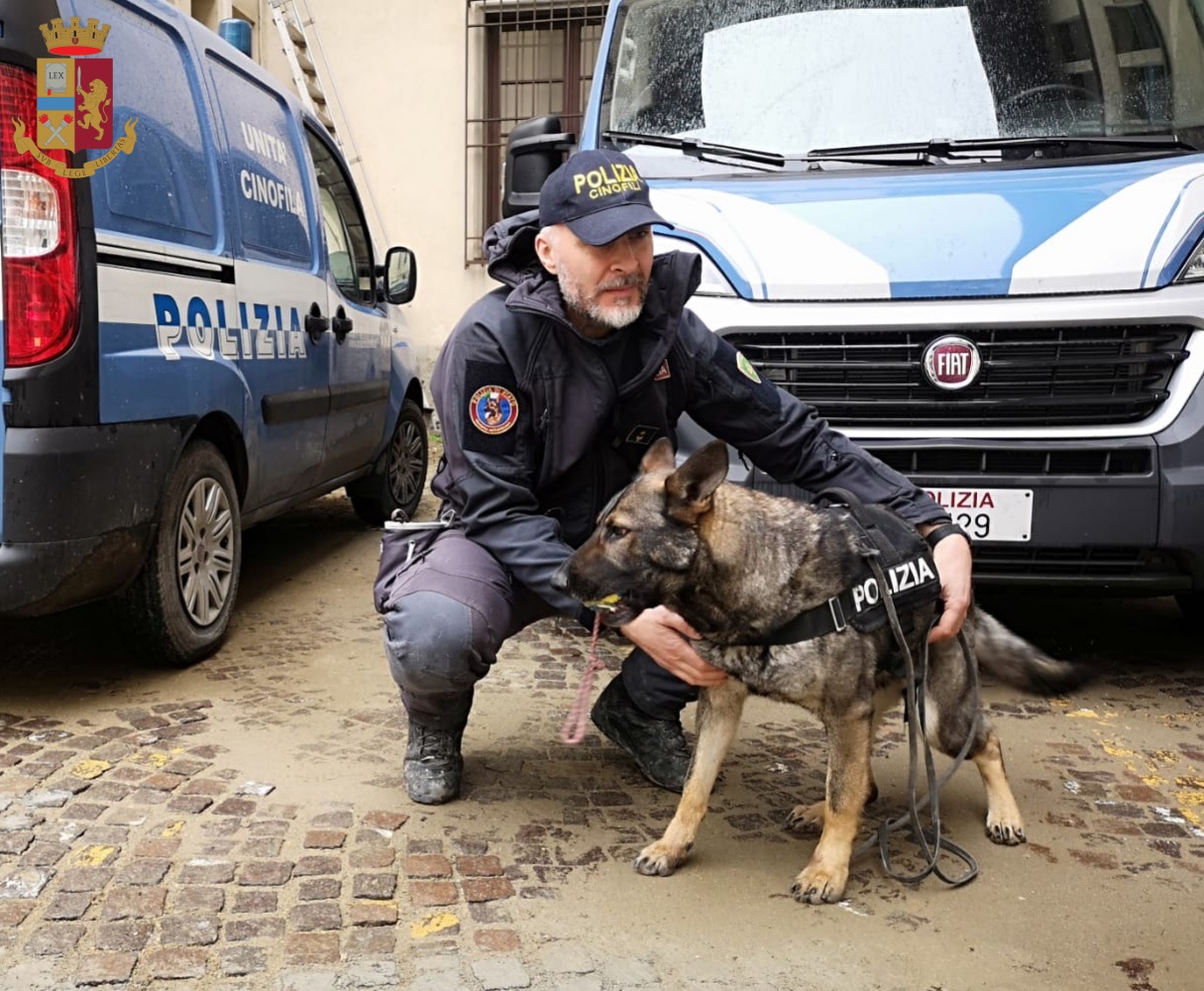 polizia-unità cinofile