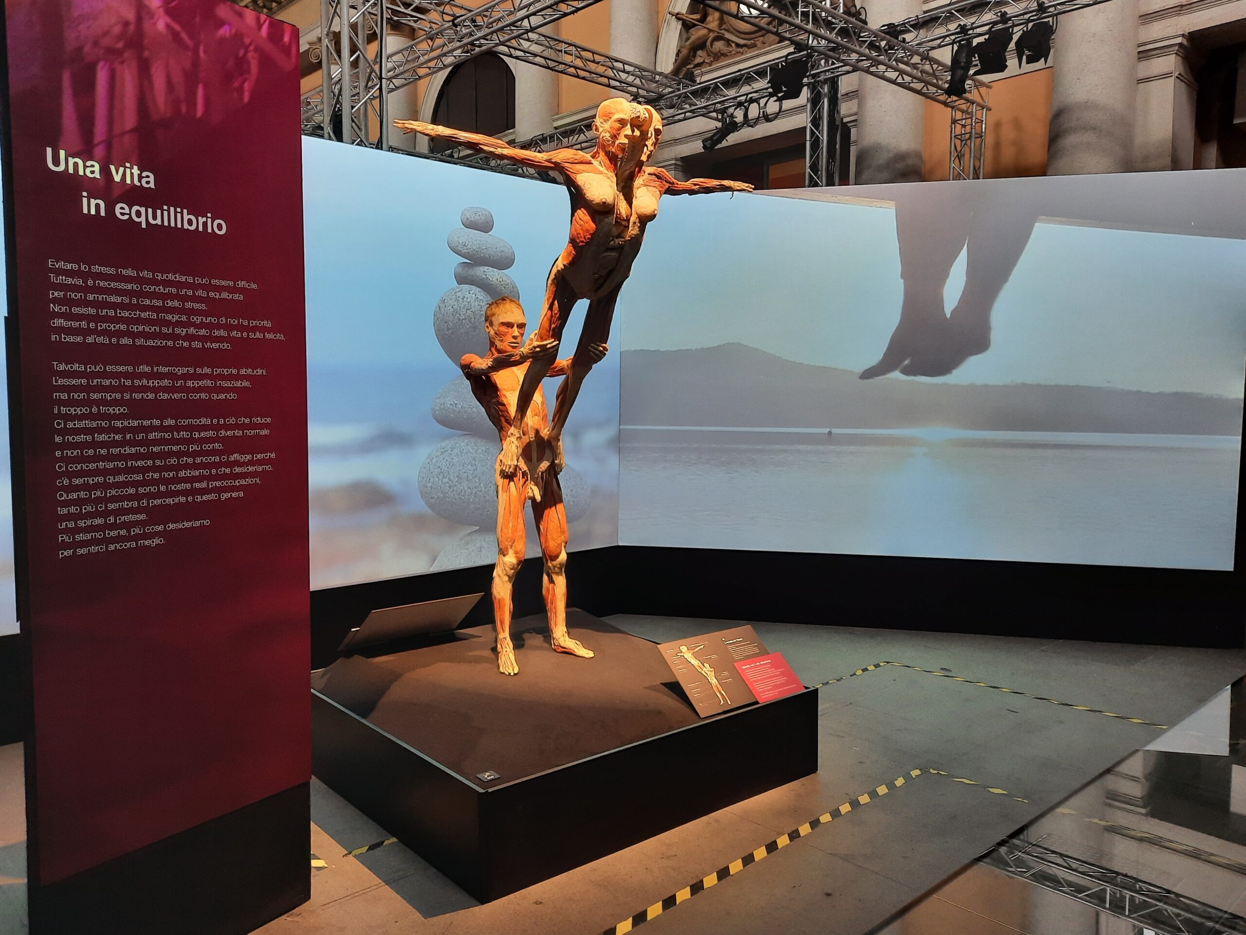 Body worlds vital 11 Quotidiano Piemontese