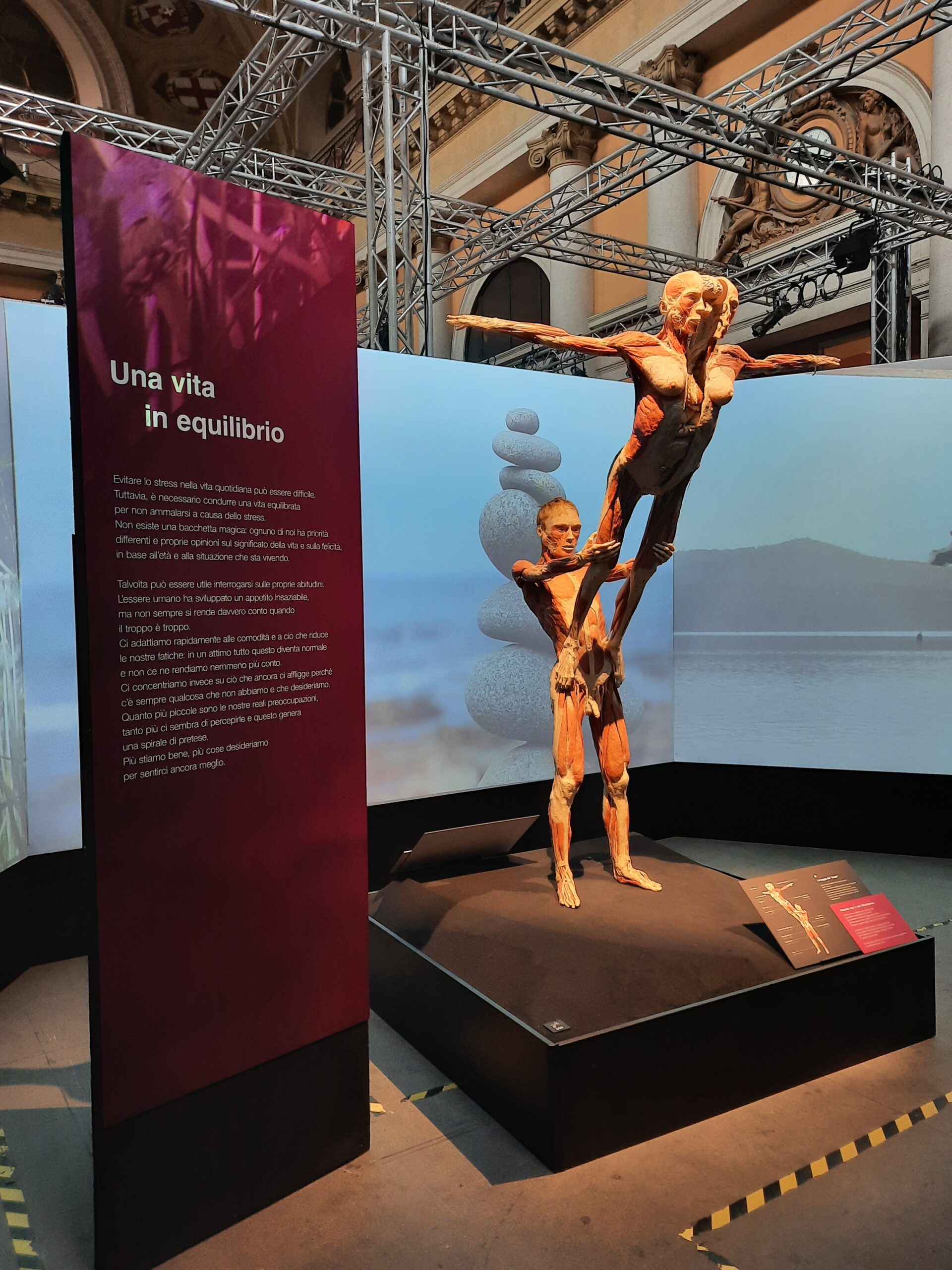 Body worlds vital 12 Quotidiano Piemontese