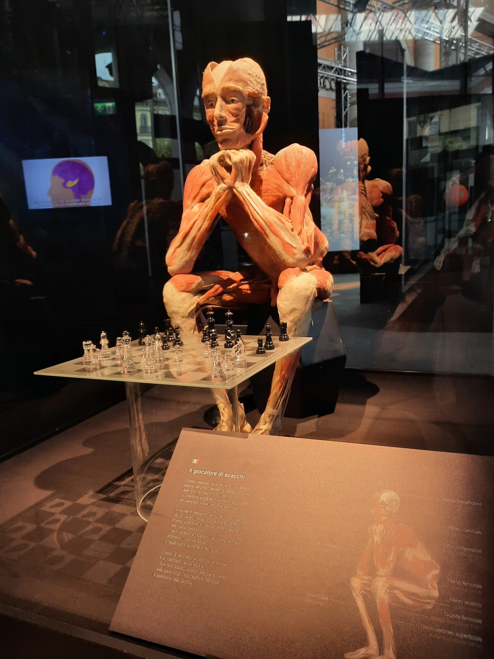 Body worlds vital 23 Quotidiano Piemontese