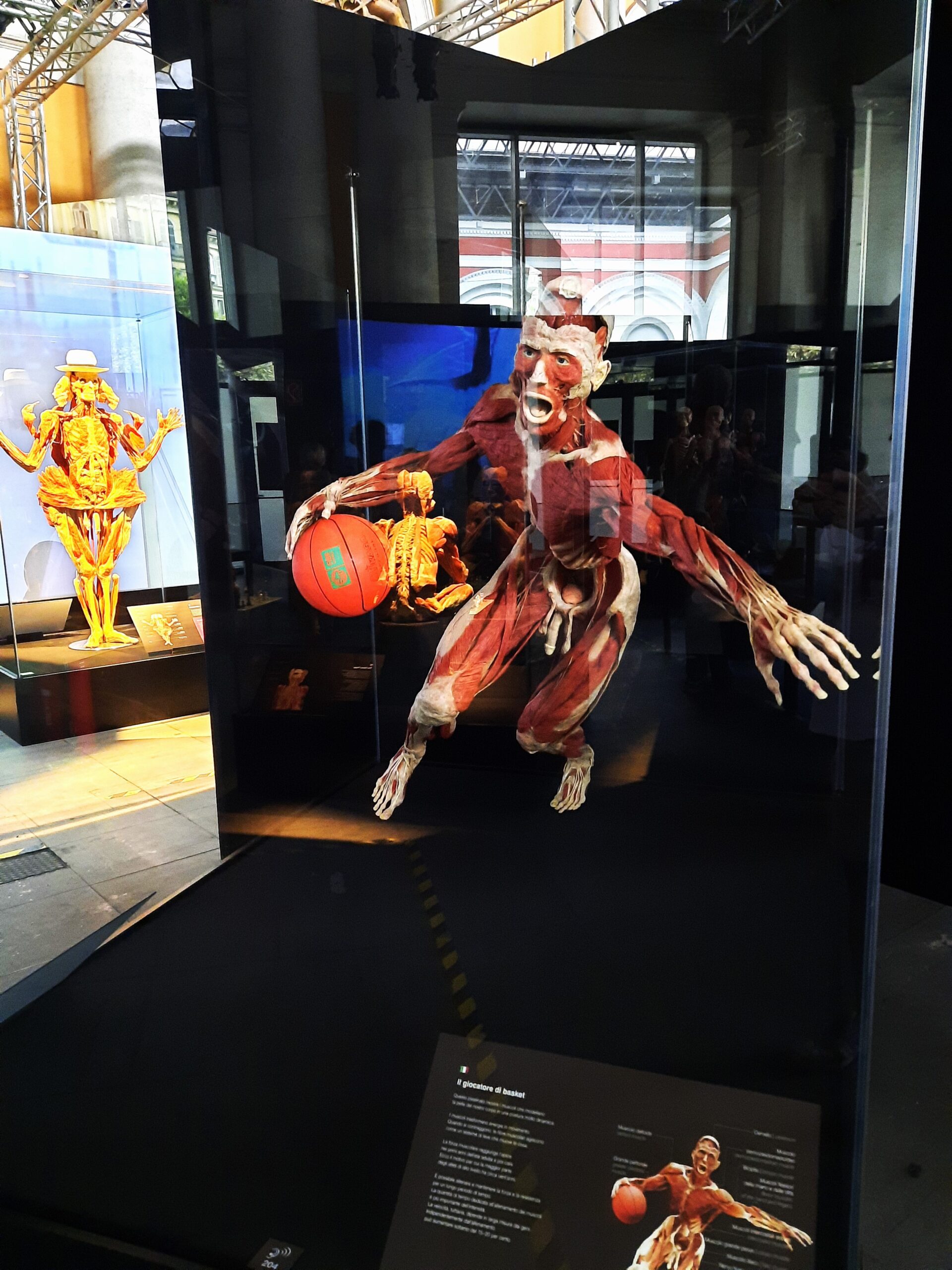 Body worlds vital 30 Quotidiano Piemontese