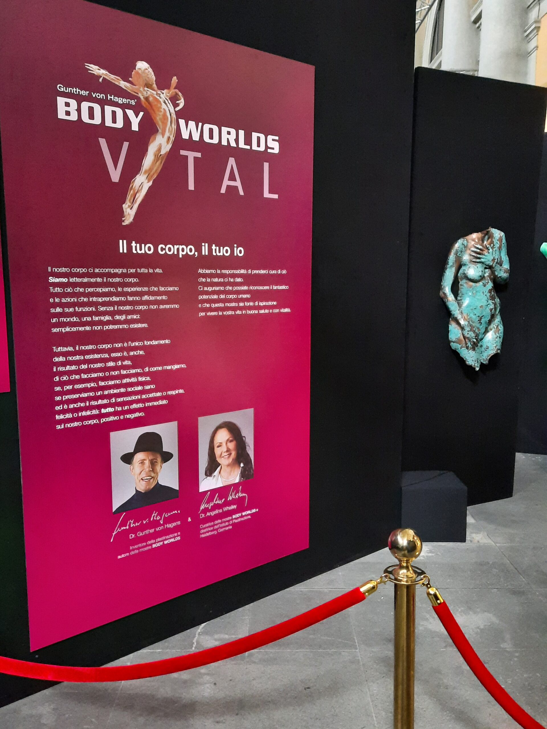 Body worlds vital 7 Quotidiano Piemontese