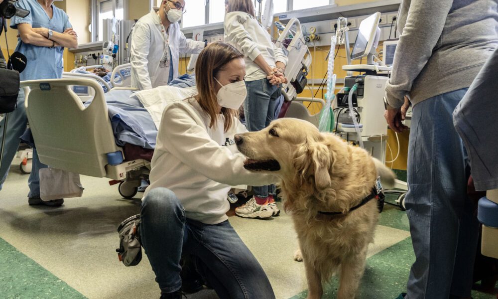 pet therapy in rianimazione