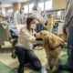 pet therapy in rianimazione