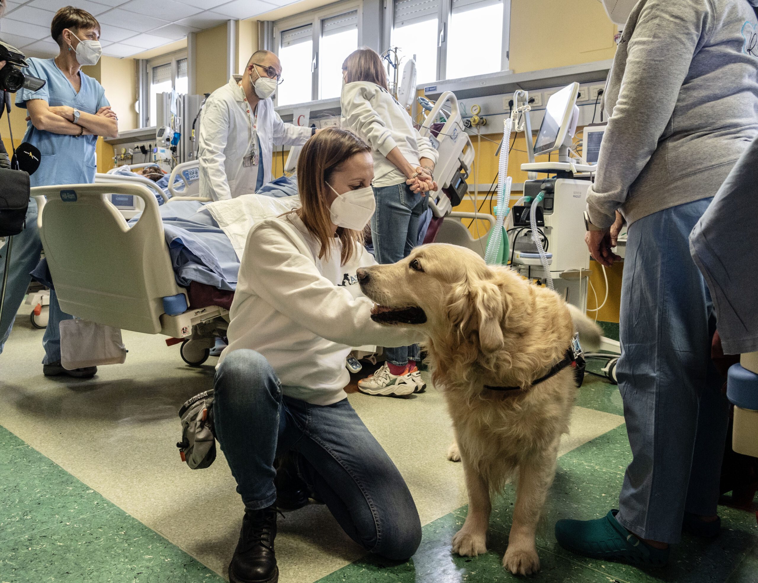 pet therapy in rianimazione