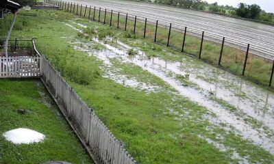 campi allagati dalla pioggia