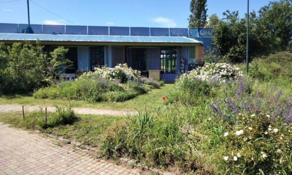 https://www.quotidianopiemontese.it/wp-content/uploads/2024/05/corridoi-ecologici-casa-parco-torino-qp-590x354.jpg