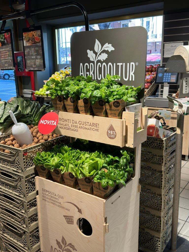Da Borello Arriva Agricooltur L insalata Con Ancora La Radice Per 
