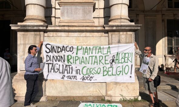 https://www.quotidianopiemontese.it/wp-content/uploads/2024/09/comitato-salviamo-gli-alberi-di-corso-belgio-2-590x354.jpg
