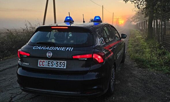 https://www.quotidianopiemontese.it/wp-content/uploads/2025/05/Carabinieri-Alessandria-1-590x354.jpg