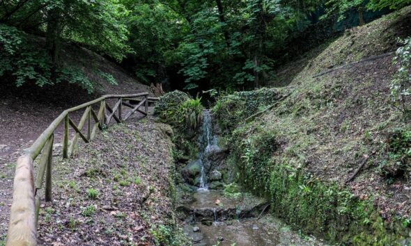 https://www.quotidianopiemontese.it/wp-content/uploads/2025/05/Parco-Leopardi-03-min-590x354.jpg