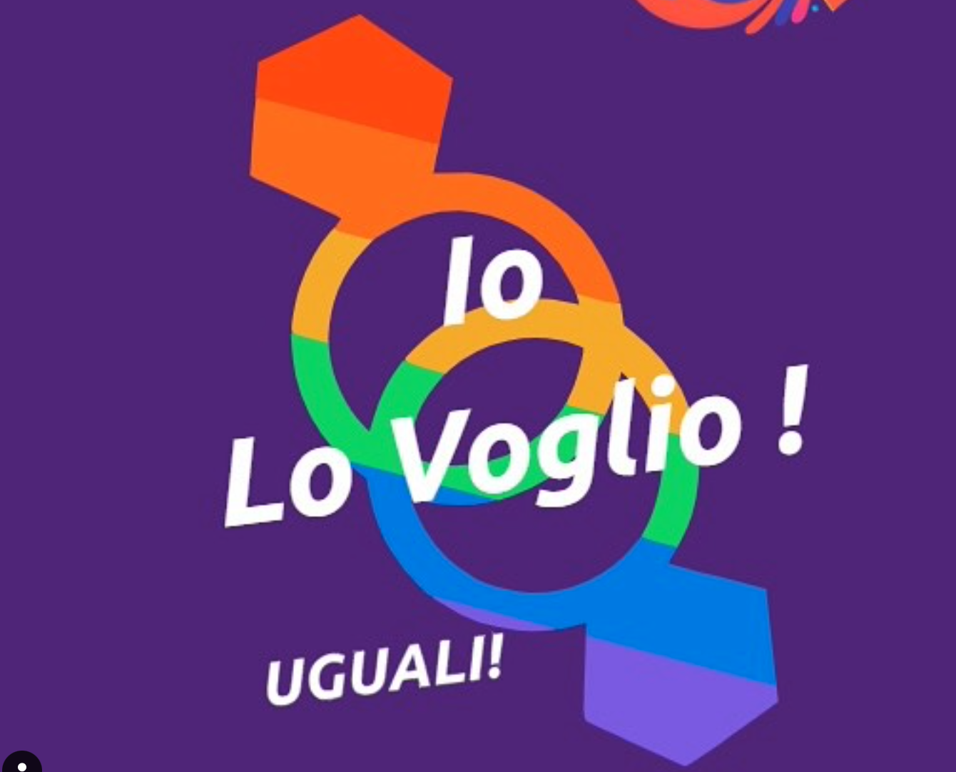 Matrimonio egualitario referendum