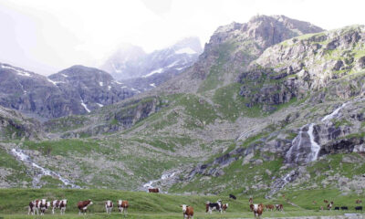 Parco Nazionale del Gran Paradiso