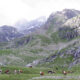 Parco Nazionale del Gran Paradiso