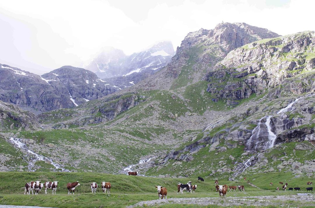 Parco Nazionale del Gran Paradiso
