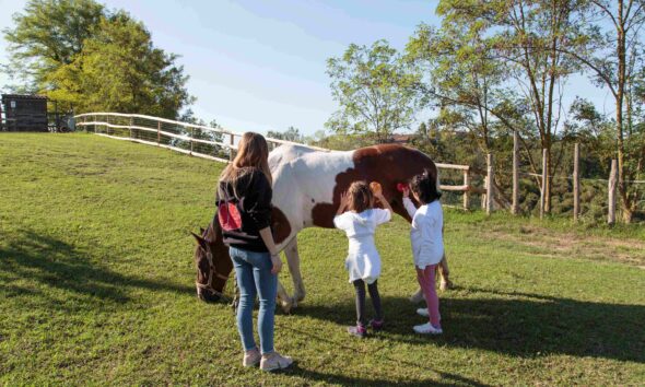 https://www.quotidianopiemontese.it/wp-content/uploads/2025/06/Festa-famiglie-Colline-degli-elfi-cavalli-bambini-590x354.jpg
