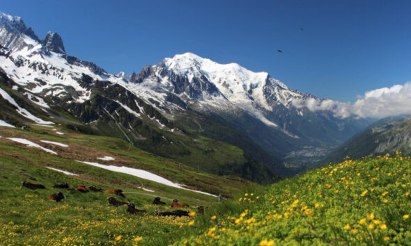 https://www.quotidianopiemontese.it/wp-content/uploads/2025/06/montagna-590x354.jpg