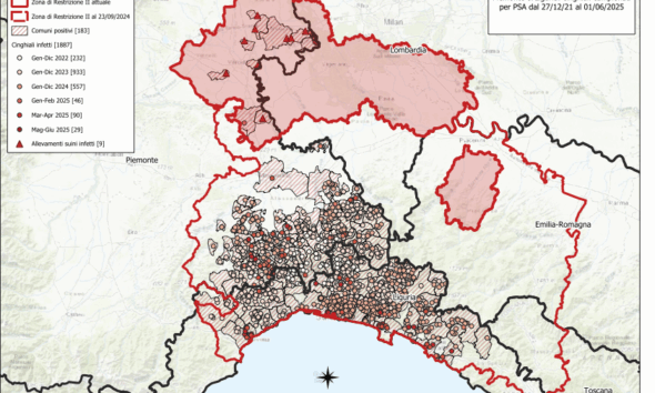 https://www.quotidianopiemontese.it/wp-content/uploads/2025/06/positivi_psa_piemonte_liguria-590x354.png