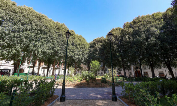 https://www.quotidianopiemontese.it/wp-content/uploads/2025/07/Inaugurazione-Giardino-piazza-Maria-Teresa-02-590x354.jpg