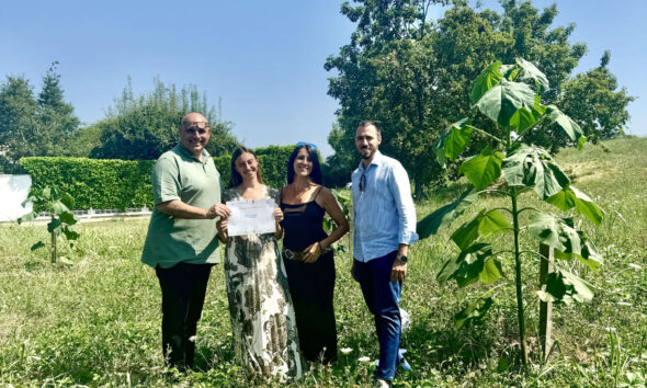 https://www.quotidianopiemontese.it/wp-content/uploads/2025/07/Inaugurazione-boschetto-paulownia-orbassano-590x354.jpg