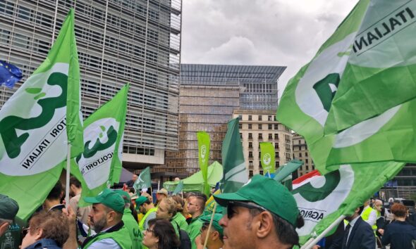 https://www.quotidianopiemontese.it/wp-content/uploads/2025/07/bruxelles-bandiere-590x354.jpeg